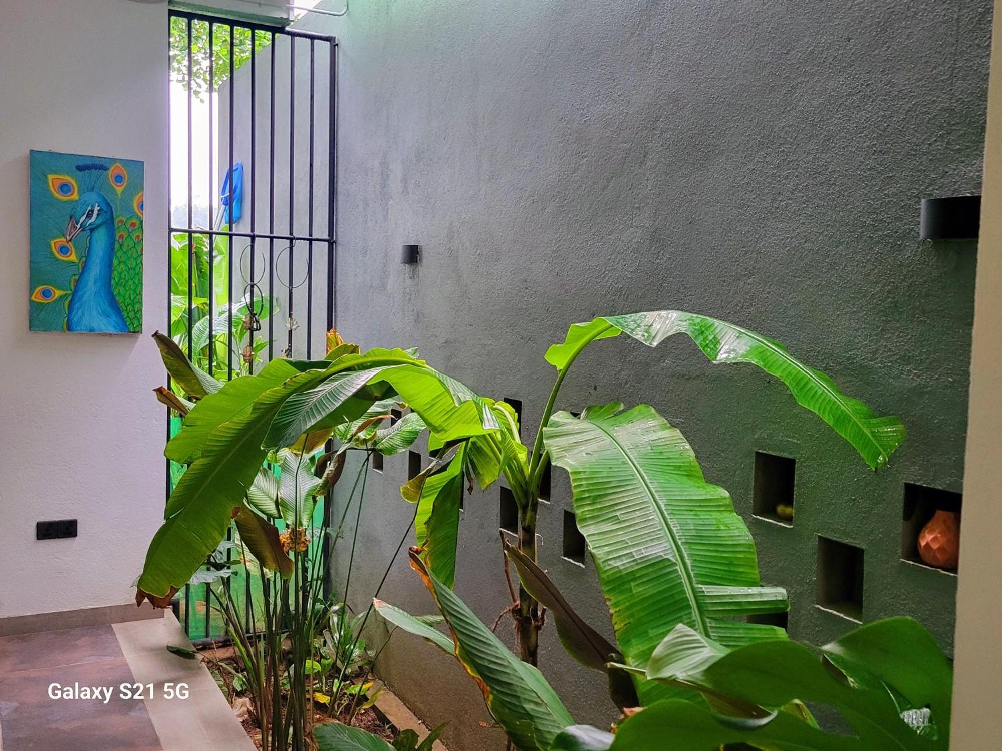 Barefoot Bungalow Hikka Hikkaduwa Exterior foto
